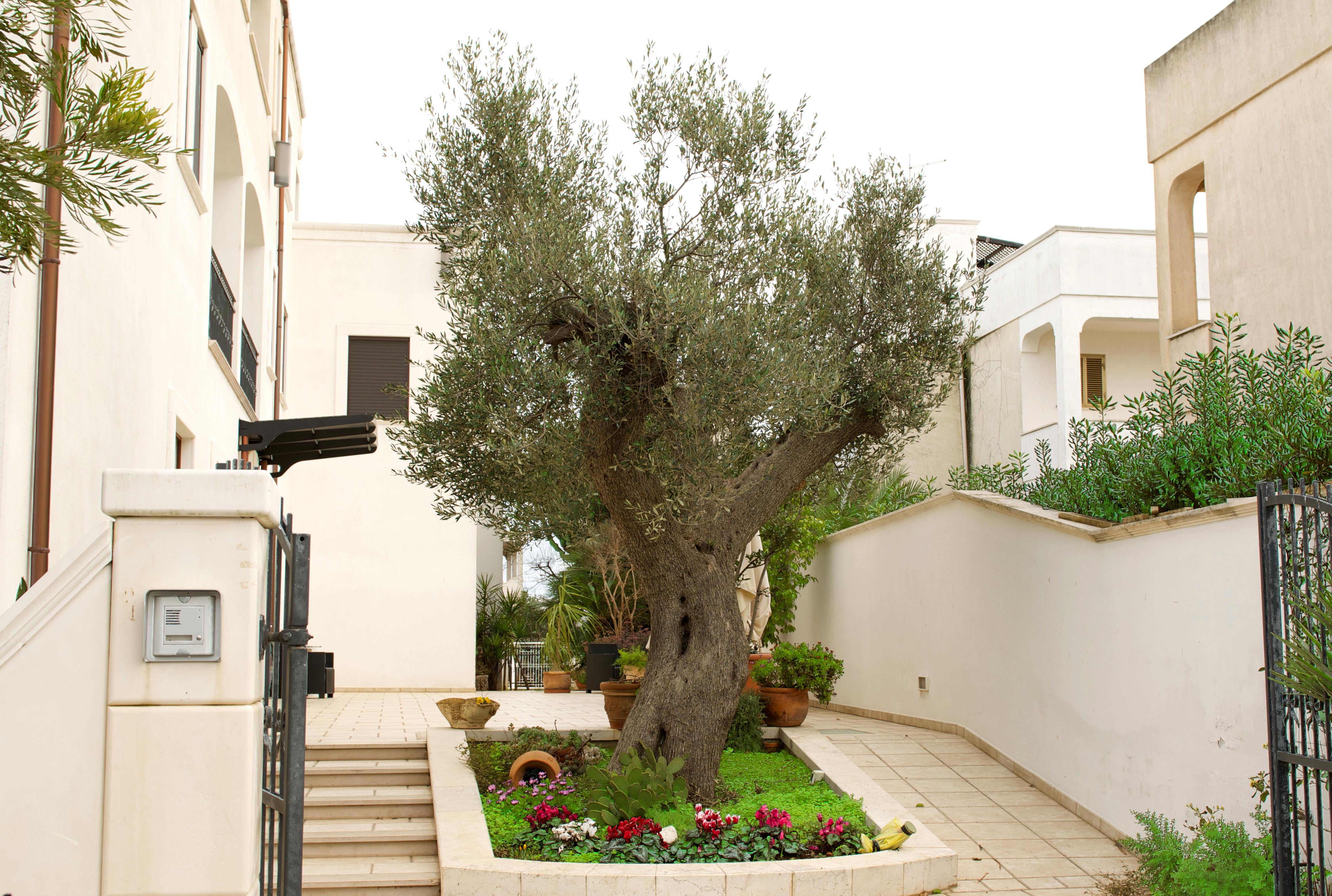 Hotel Victoria Torre Santa Sabina Exteriör bild